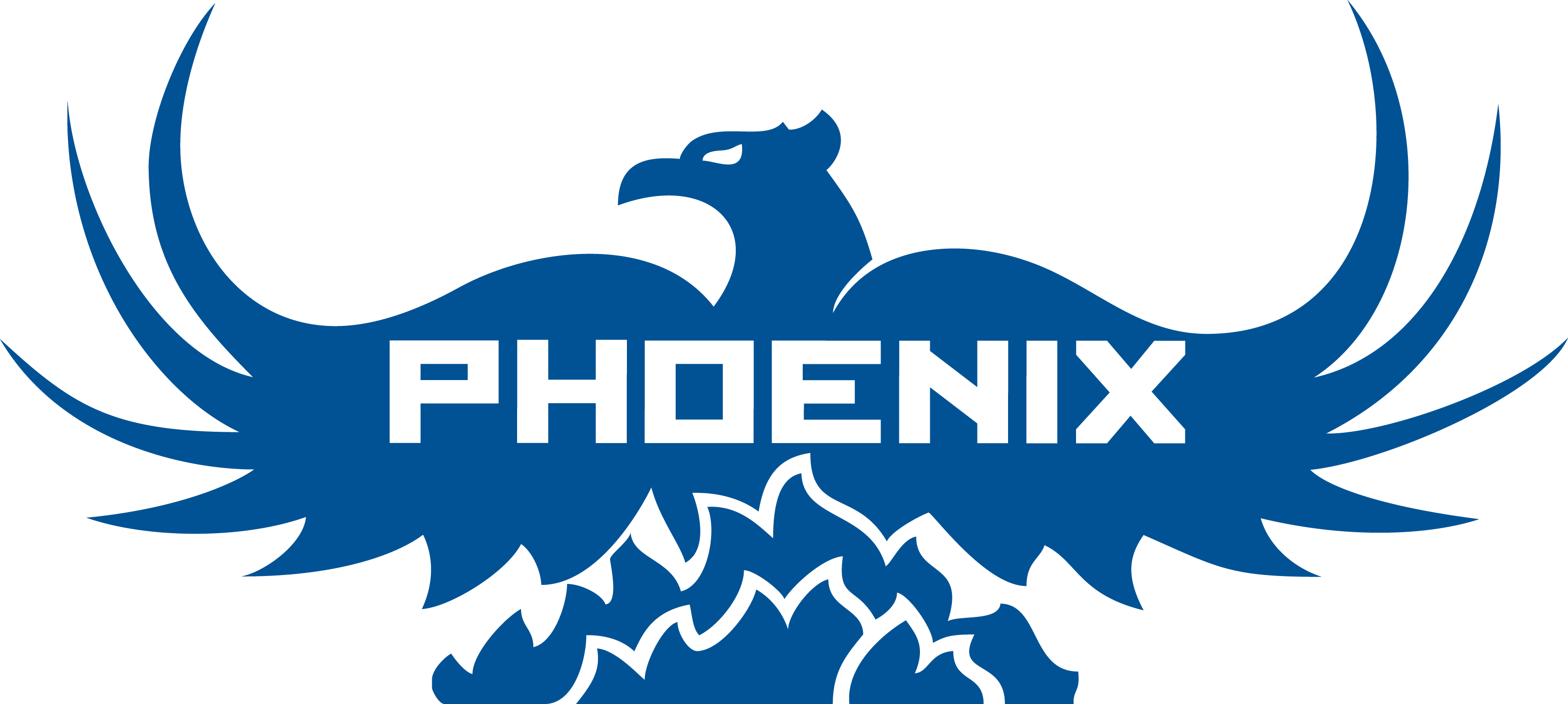 Phoenix service. Феникс лого. ООО Феникс логотип. Хк Phoenix логотип. Логотип Феникс PNG.